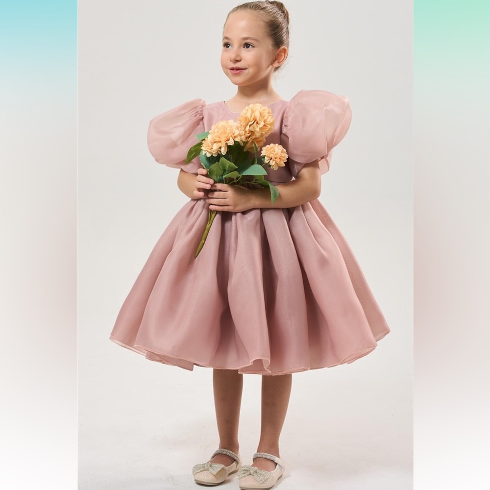 Girls Toddler Puff Sleeve Organza Tulle Tutu Ball Gown Princess Flower Dress